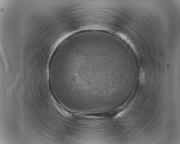 X0000086881372200704231052