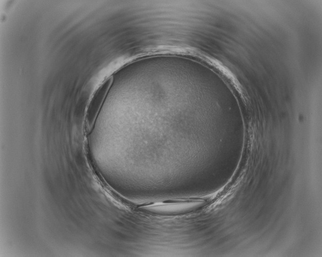 X0000086881373200704231052