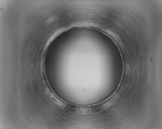 X0000086881374200704231052