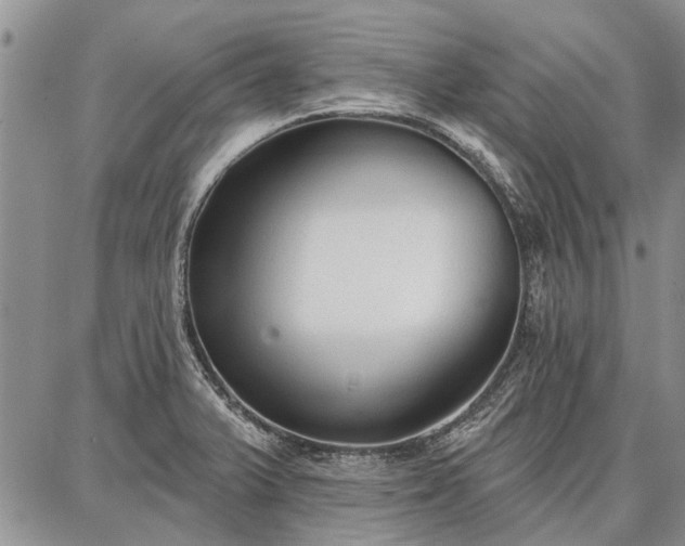 X0000086881375200704231052