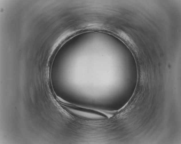 X0000086881376200704231052