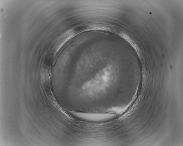 X0000086881377200704231052