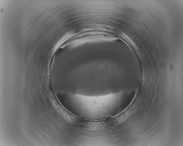 X0000086881378200704231052