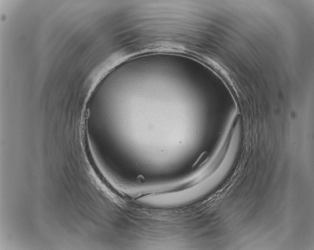 X0000086881379200704231052