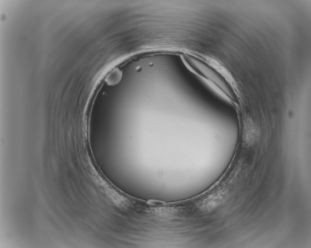 X0000086881380200704231052