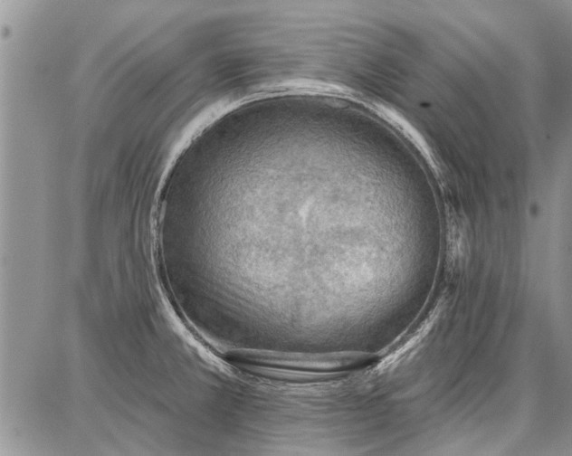 X0000086881381200704231052