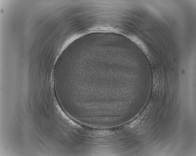 X0000086881382200704231052