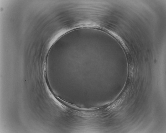 X0000086881383200704231052