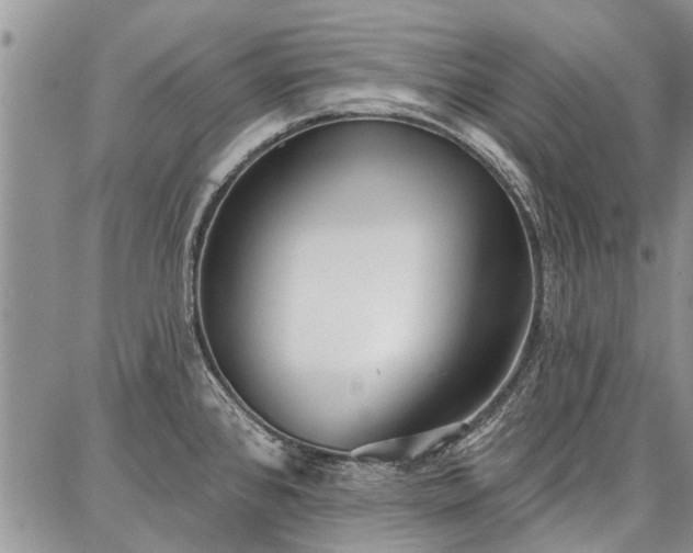 X0000086881384200704231052