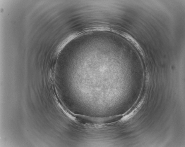 X0000086881385200704231052