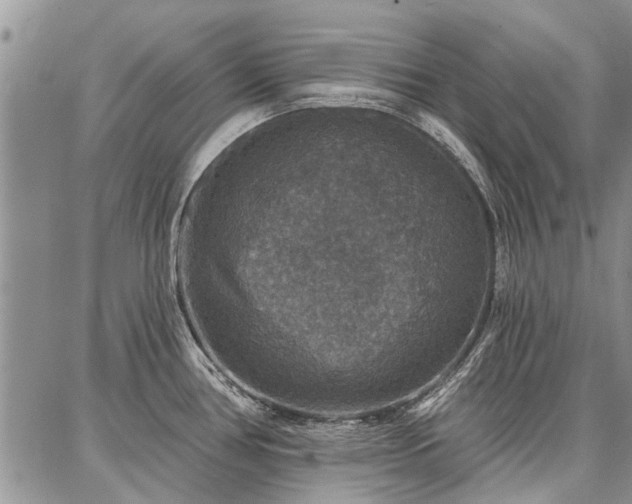 X0000086881386200704231052