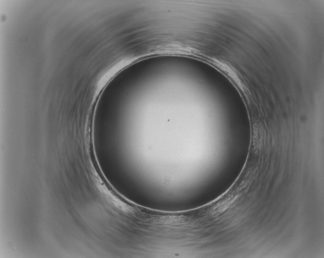 X0000086881387200704231052