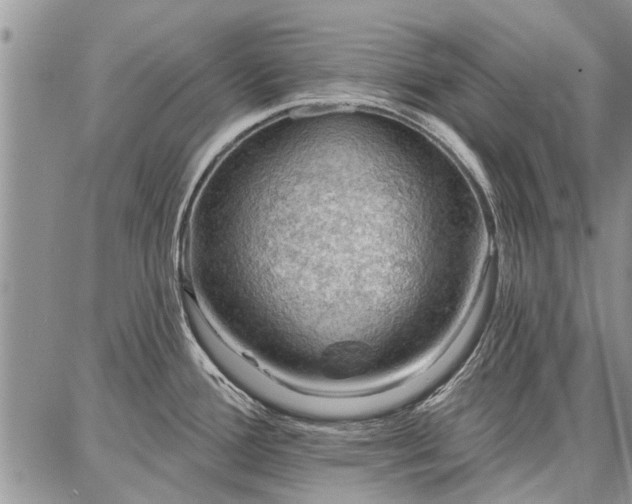 X0000086881388200704231052