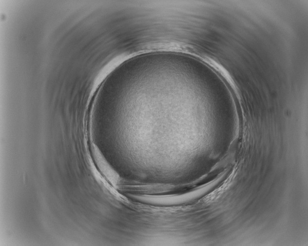 X0000086881389200704231052