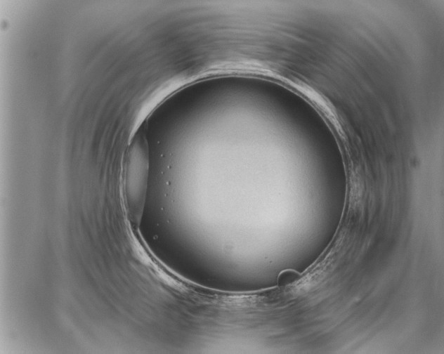 X0000086881390200704231052