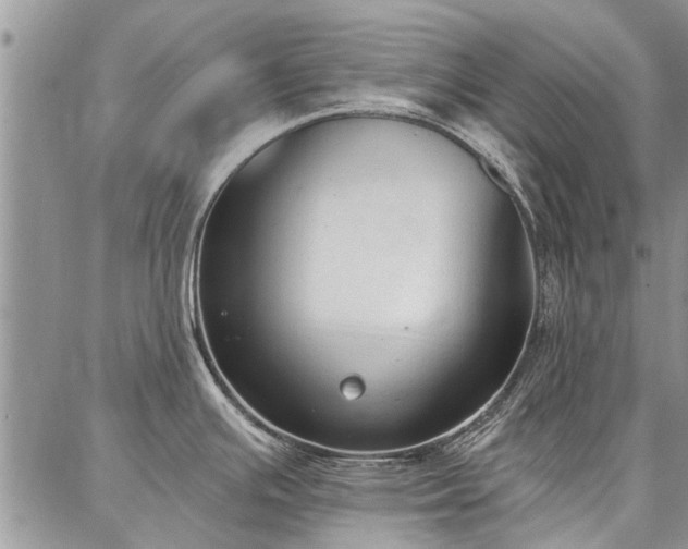 X0000086881391200704231052