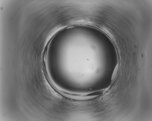 X0000086881392200704231052