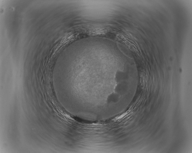 X0000086881393200704231051