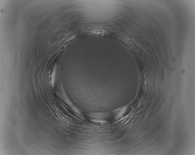 X0000086881394200704231051