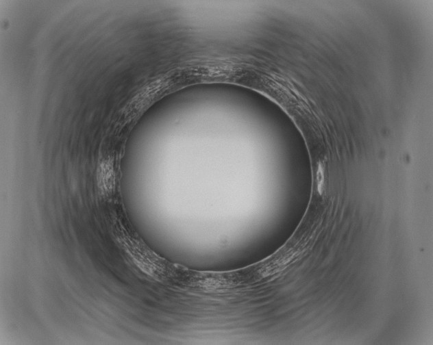 X0000086881395200704231051