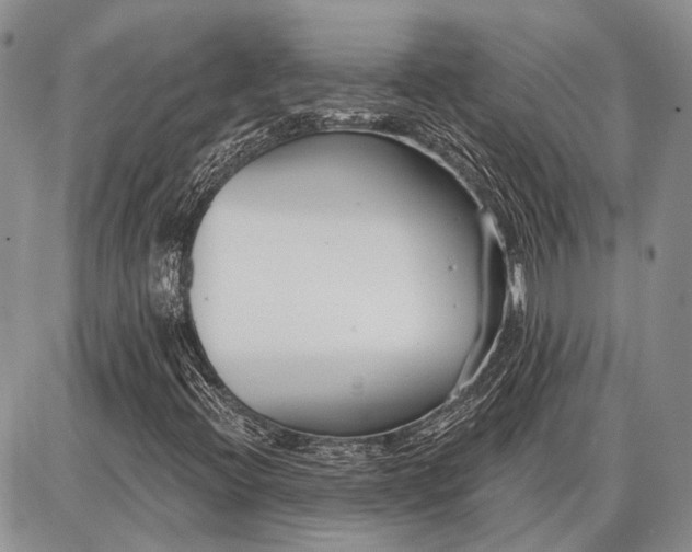 X0000086881396200704231051