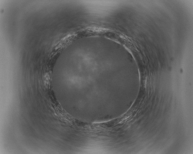 X0000086881397200704231051