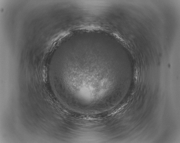 X0000086881398200704231051