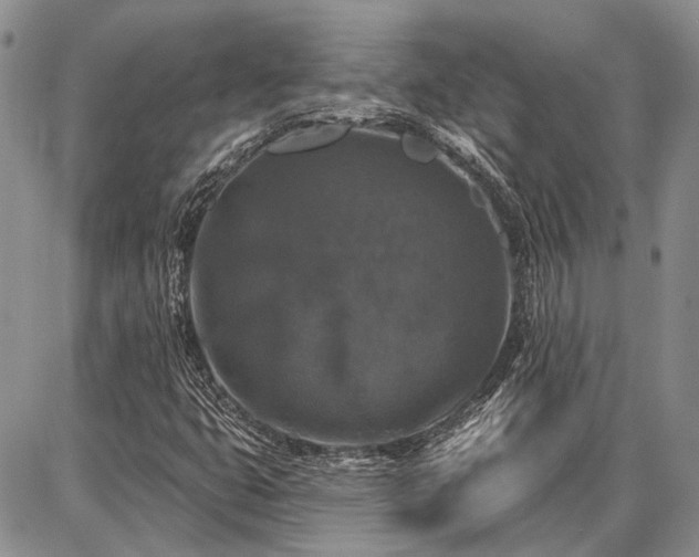 X0000086881399200704231051