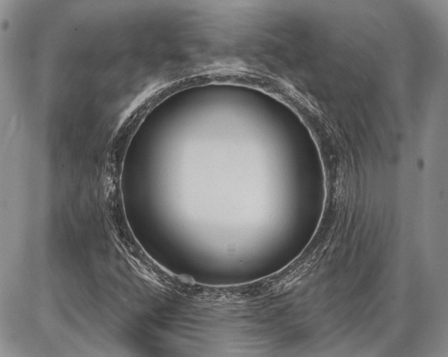 X0000086881400200704231051