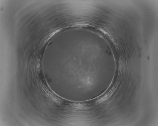 X0000086881401200704231051