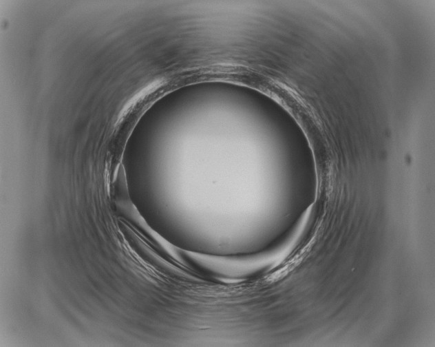 X0000086881402200704231051