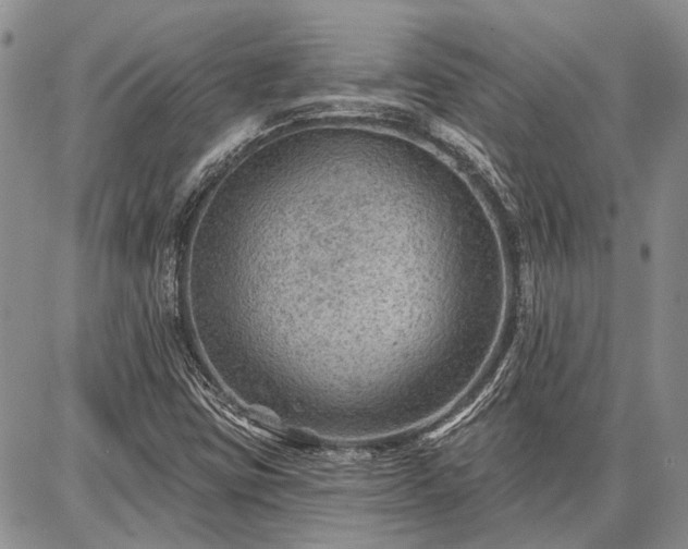 X0000086881403200704231051