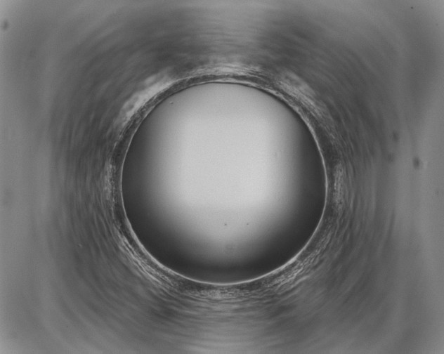 X0000086881404200704231051