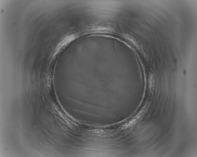 X0000086881405200704231051