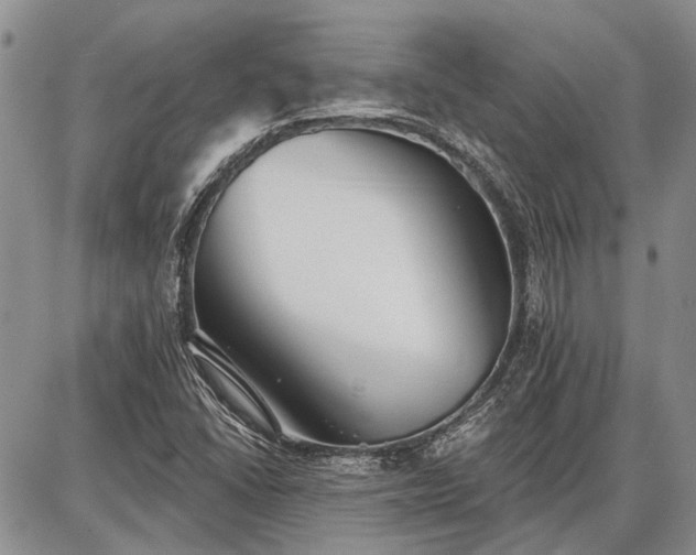 X0000086881406200704231051