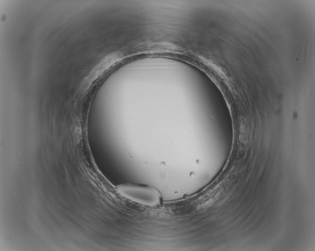 X0000086881407200704231051