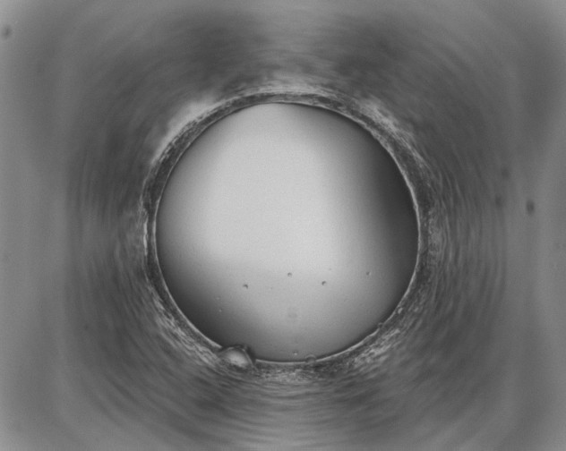 X0000086881408200704231051