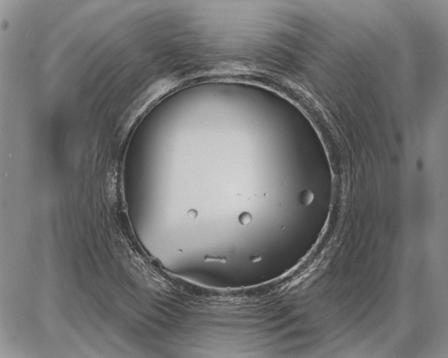 X0000086881409200704231051