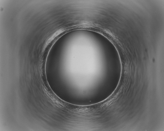 X0000086881410200704231051