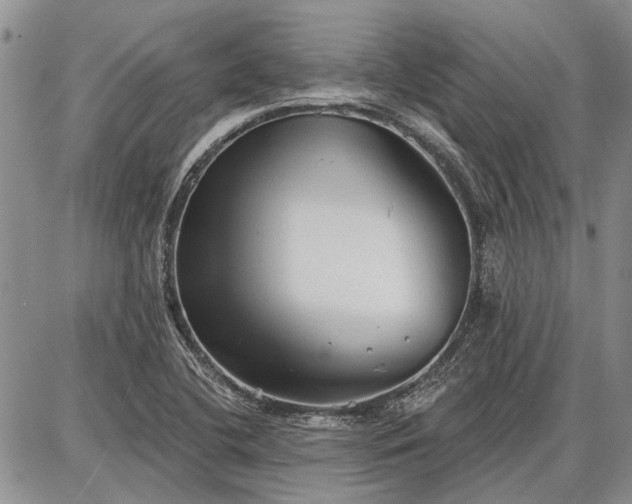 X0000086881412200704231051