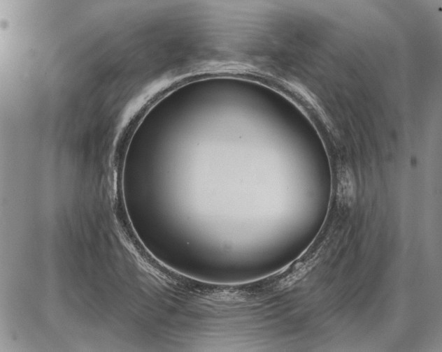 X0000086881414200704231051