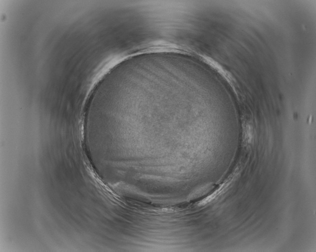 X0000086881415200704231051