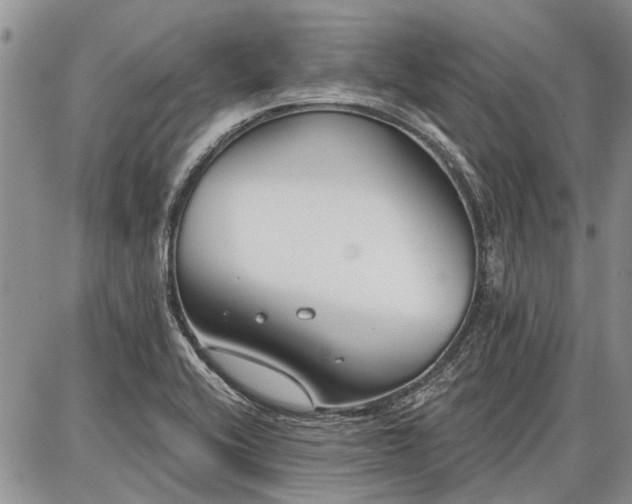 X0000086881416200704231051