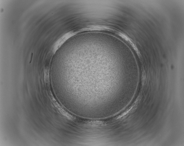 X0000086881417200704231051