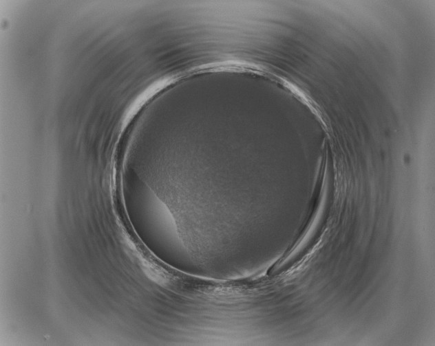 X0000086881418200704231051