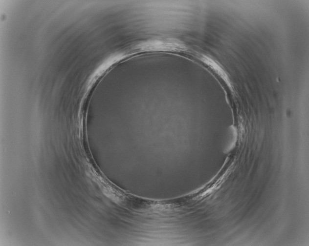 X0000086881419200704231051