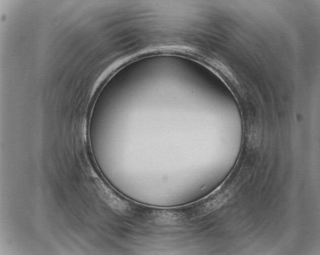 X0000086881420200704231051