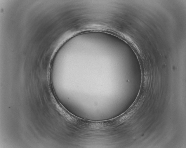 X0000086881421200704231051