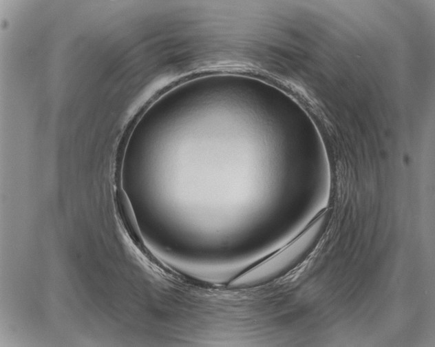 X0000086881422200704231051