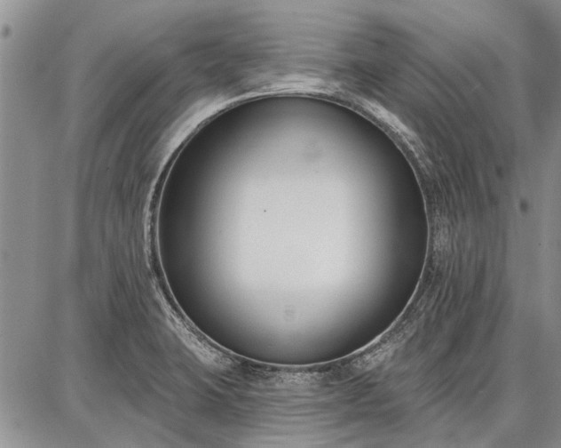 X0000086881423200704231051